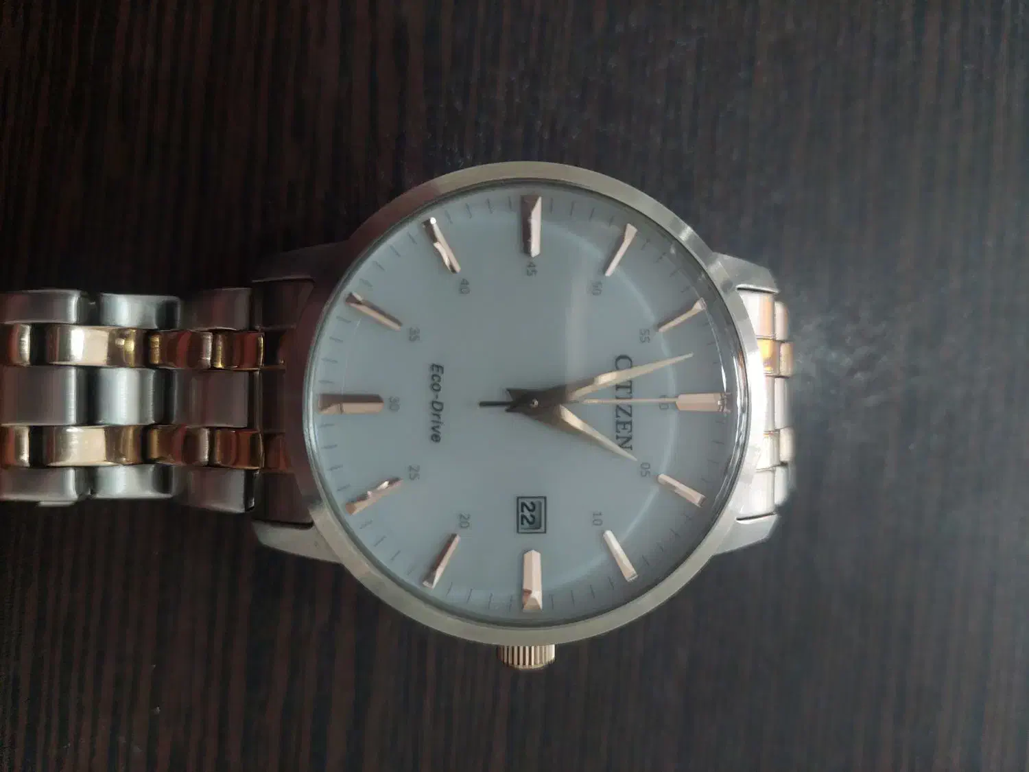 ساعت سیتیزن|ساعت|باغستان, |دیوار