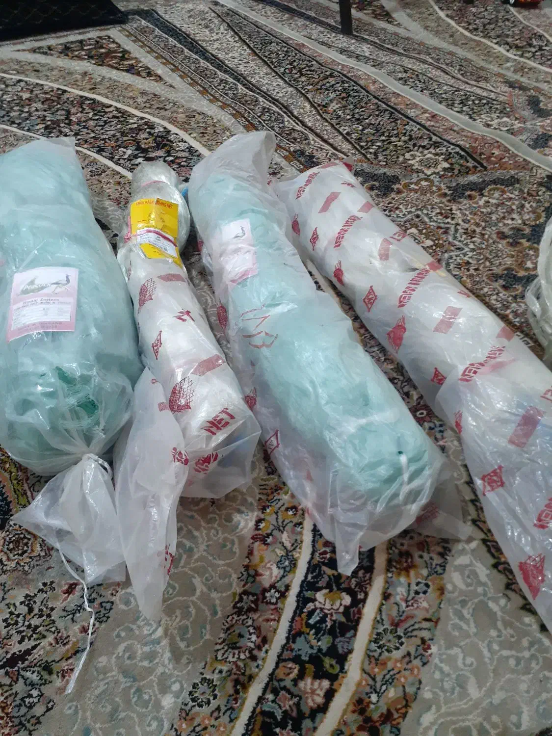 سلام.چندتاتوردارم|ماهیگیری|شوشتر, |دیوار