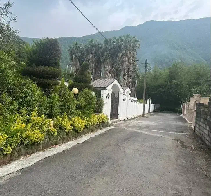 مشرف به جنگل 265 متر شهرک مدرن|فروش زمین و ملک کلنگی|نشتارود, |دیوار