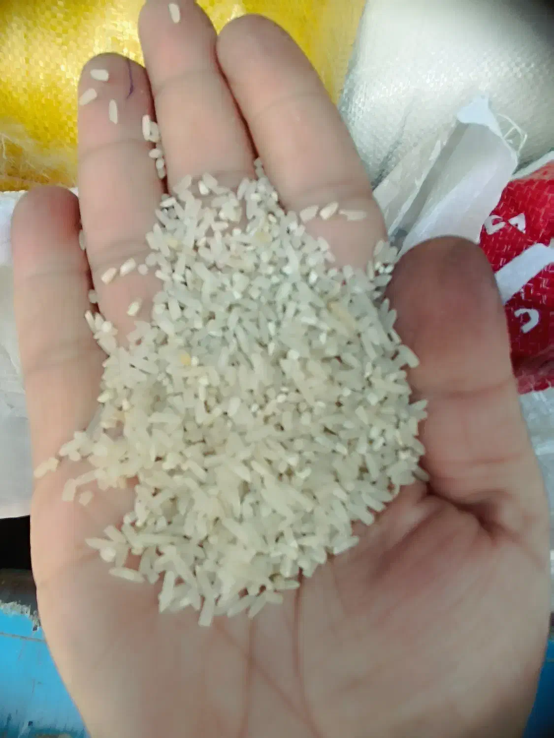 برنج طارم محلی و لاشه طارم هاشمی|خوردنی و آشامیدنی|نوشهر, |دیوار