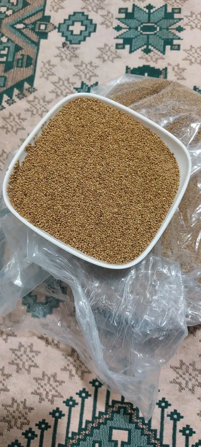 تخم یونجه اصل باکیفییت|گل و گیاه طبیعی|قم, بنیاد|دیوار