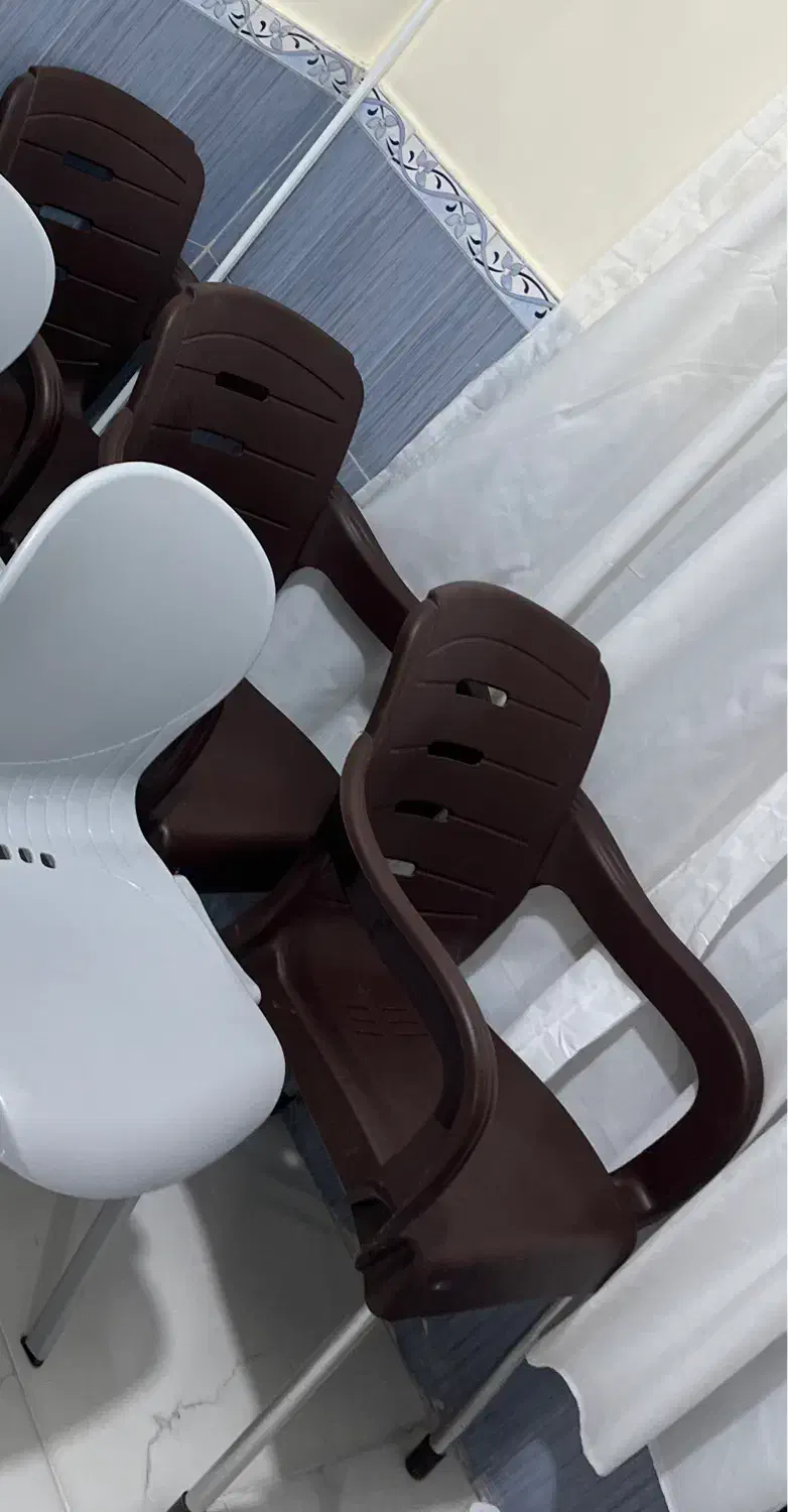 صندلی  نو نو|صندلی و نیمکت|بم, |دیوار