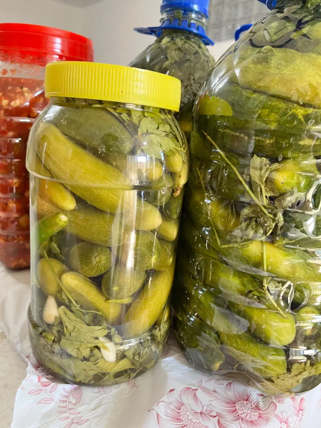 ترشی خانگی|خوردنی و آشامیدنی|قم, نخودی|دیوار