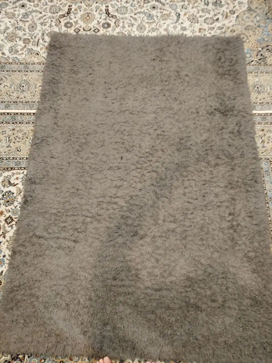 فرش شگی یا تدی|فرش|تهران, تهرانسر شمالی|دیوار