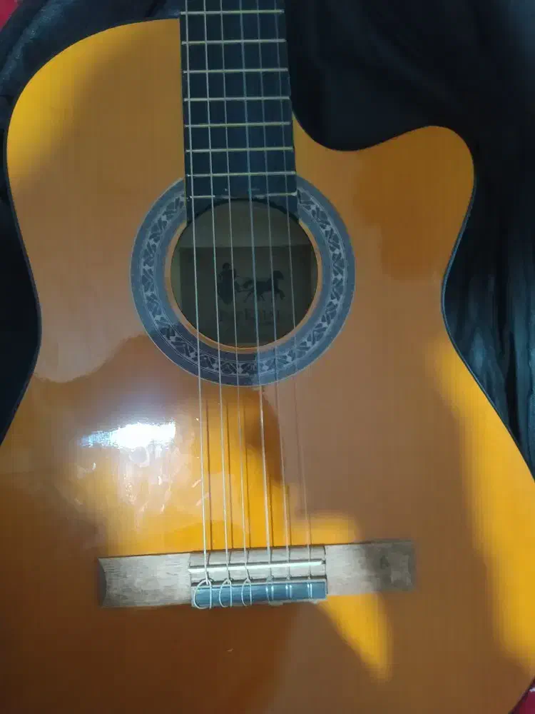 گیتار|گیتار، بیس، امپلیفایر|ملایر, |دیوار