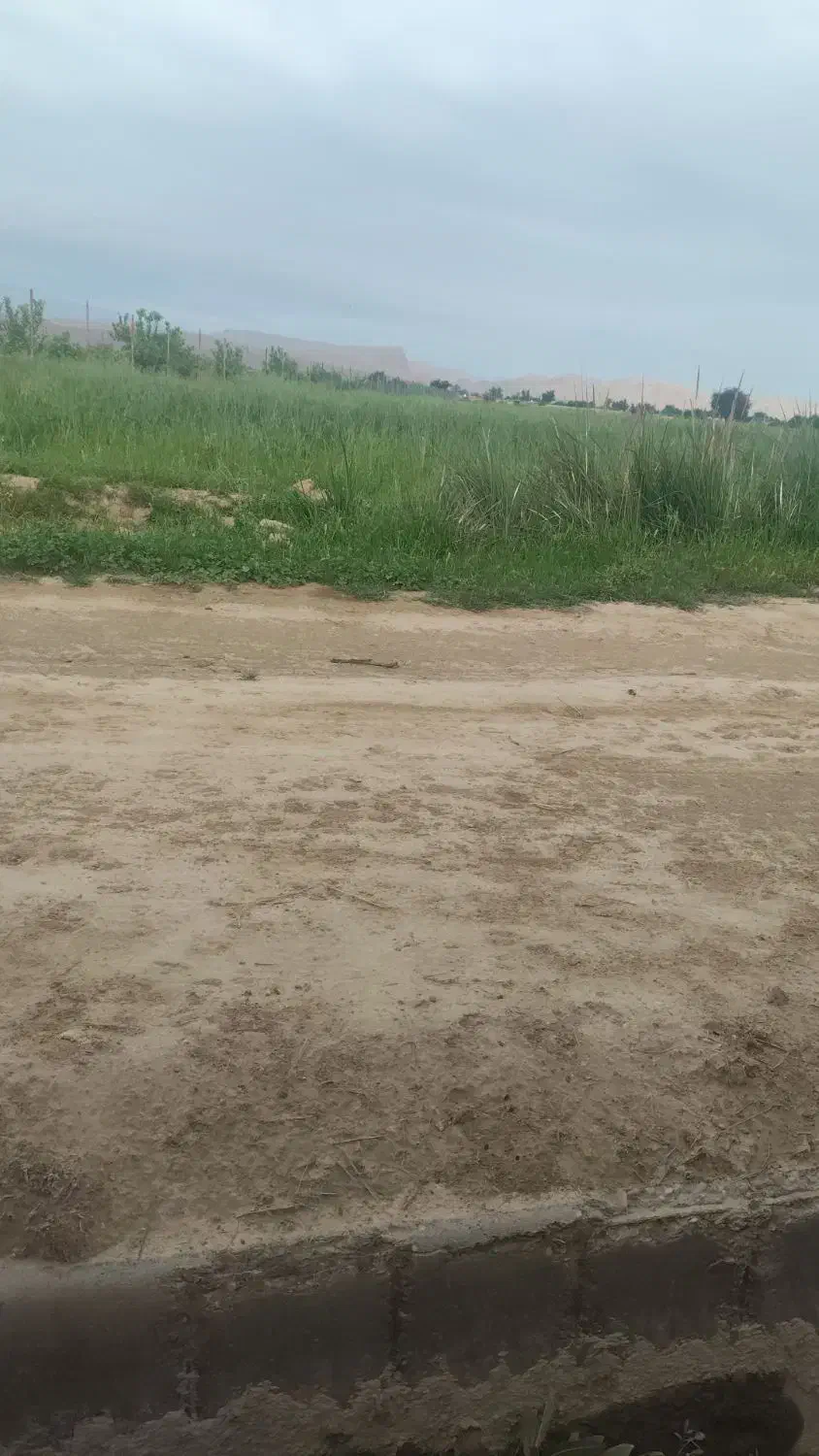 زمین عقیلی|فروش خانه و ویلا|گتوند, |دیوار