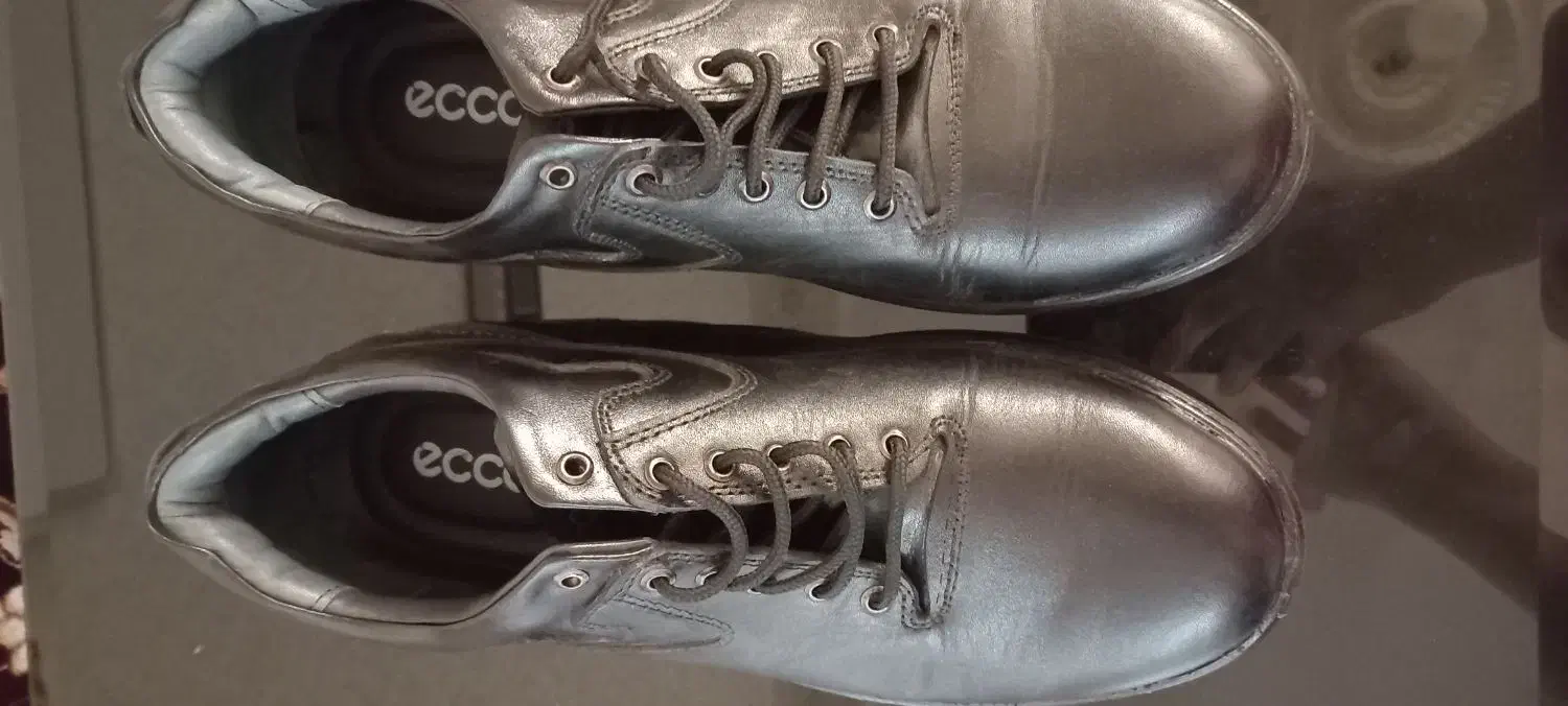 کفش مردانه|کیف، کفش، کمربند|سنندج, |دیوار