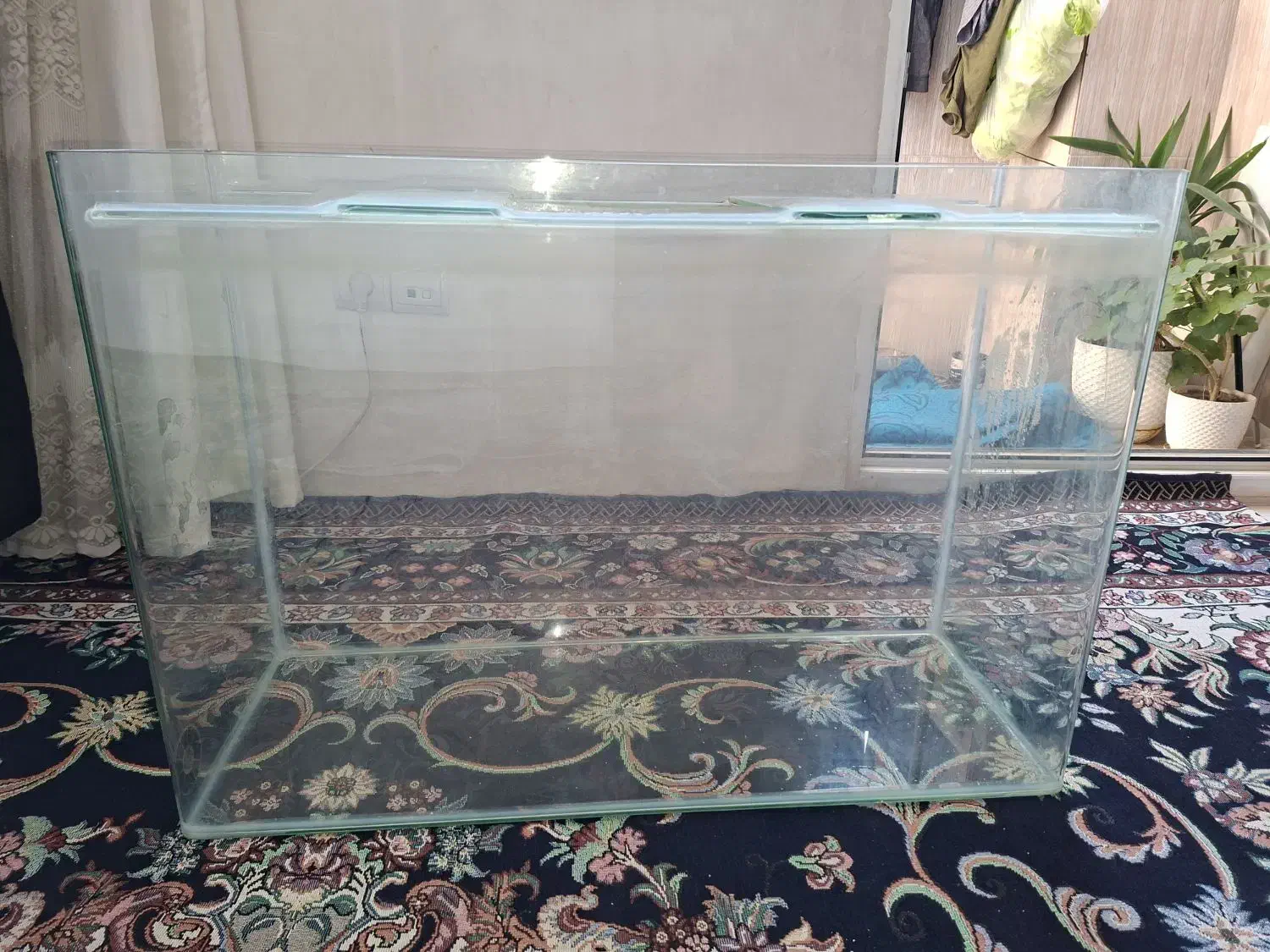 اکواریوم سالم|ماهی|مشکین‌دشت, |دیوار