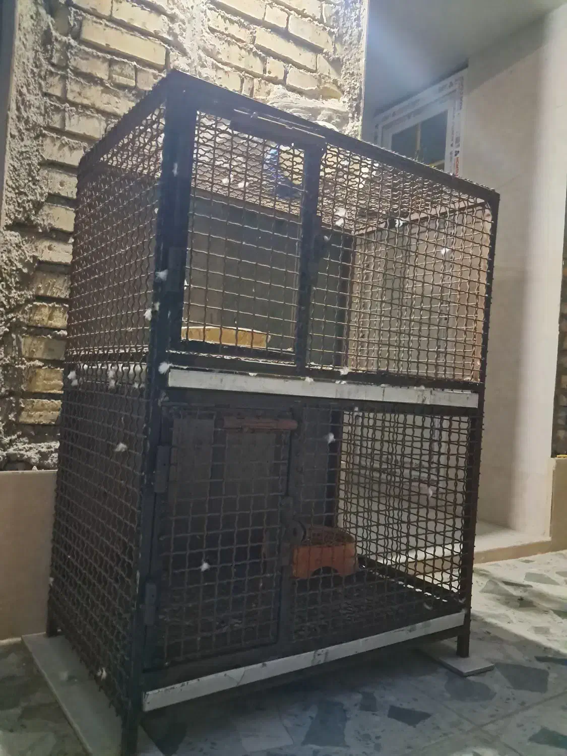 قفس پرنده|لوازم جانبی حیوانات|کارون, |دیوار