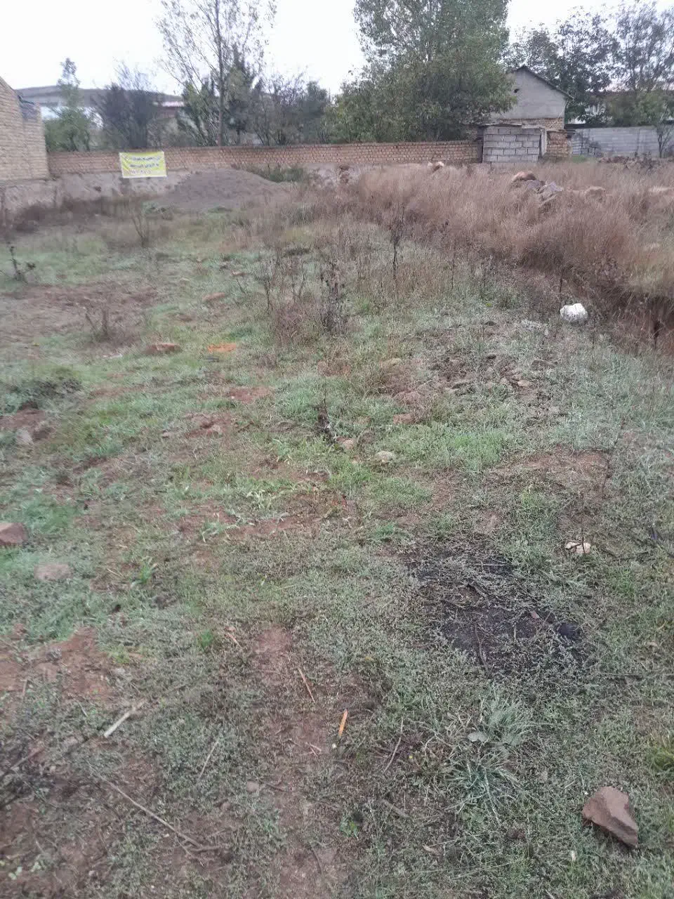 زمین فروشی ۳۰۰متر درمیر افضل|فروش زمین و ملک کلنگی|کیاسر, |دیوار