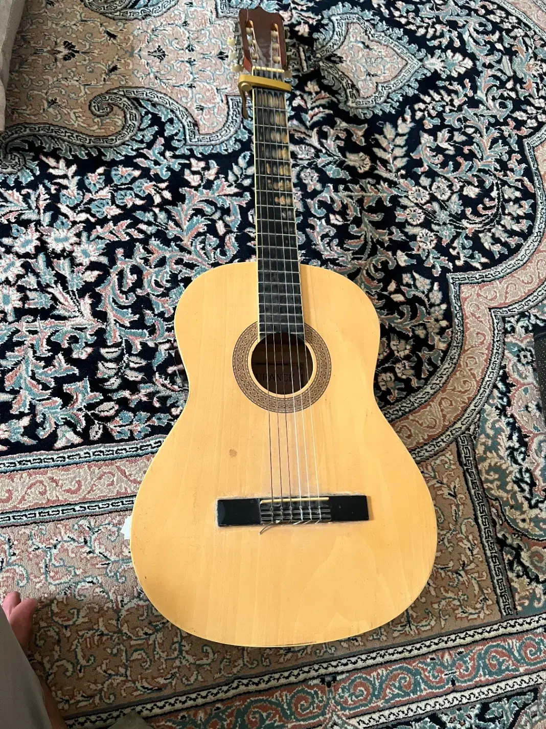 گیتار مارک لورانس|گیتار، بیس، امپلیفایر|توکهور, |دیوار