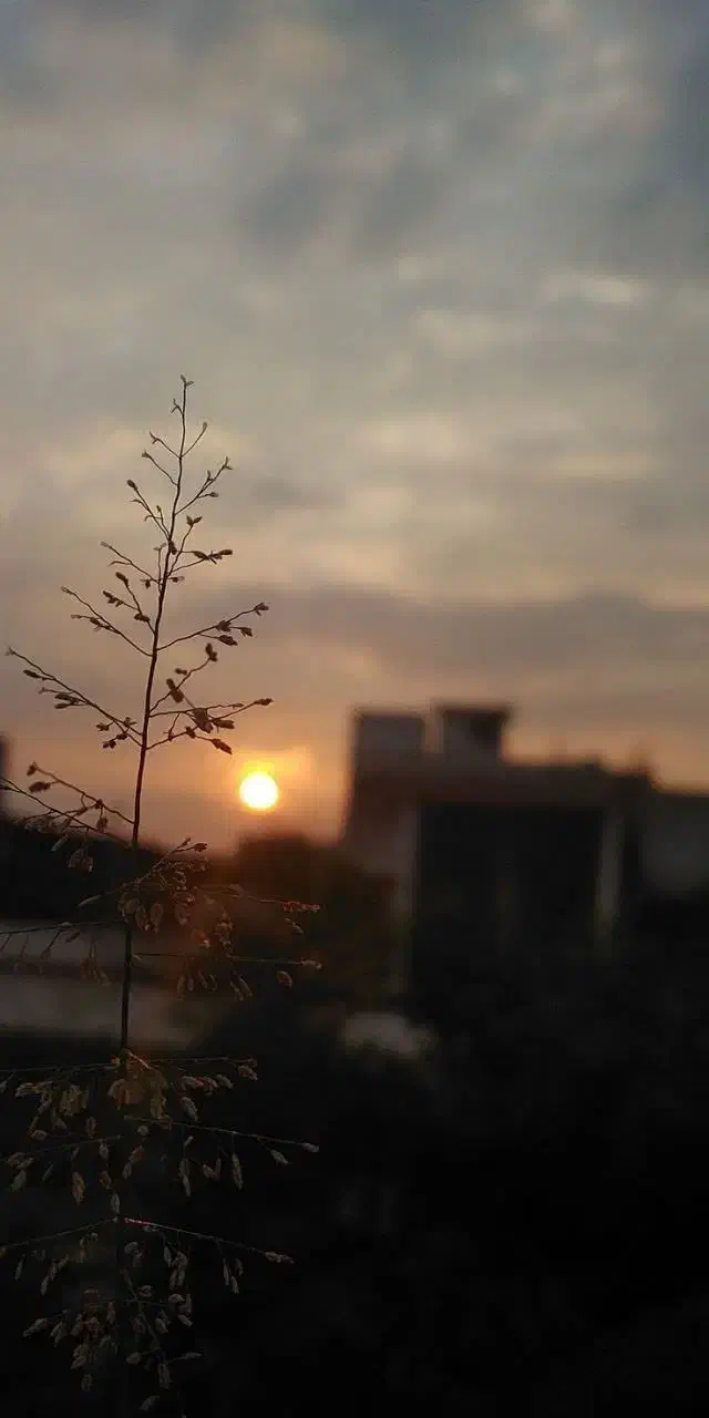 همخونه میشم|اجارهٔ آپارتمان|قم, آزادگان|دیوار