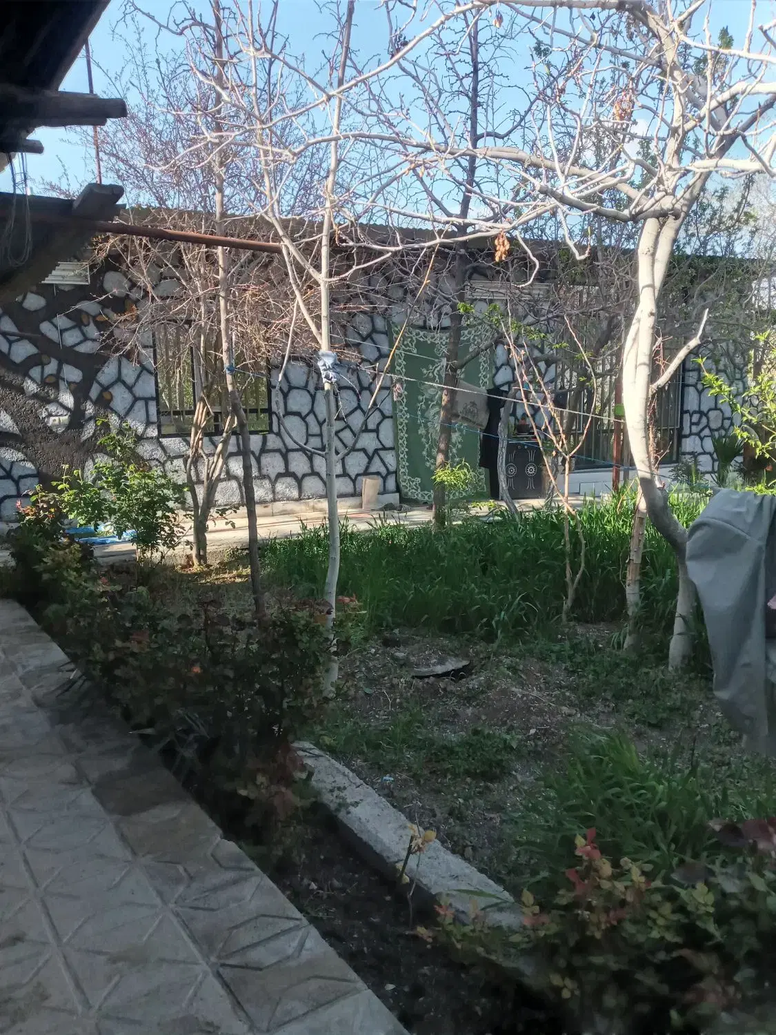 تصویر 7
