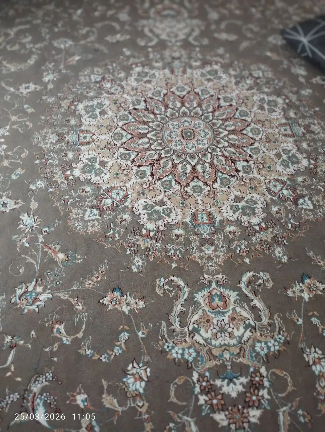 فرش|فرش|مشهد, کوی سیدی|دیوار