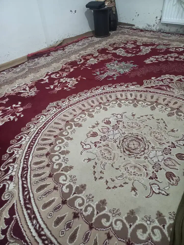 فرش ۱۲متری ۲ملیون ۲۰۰|فرش|گلبهار, شهر جدید گلبهار|دیوار