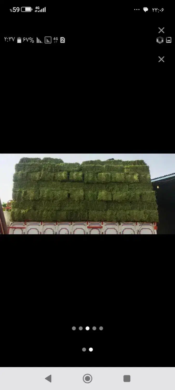 پرس یونجه درجه یک خشک پر گل|خدمات باغبانی و درختکاری|بروجرد, |دیوار