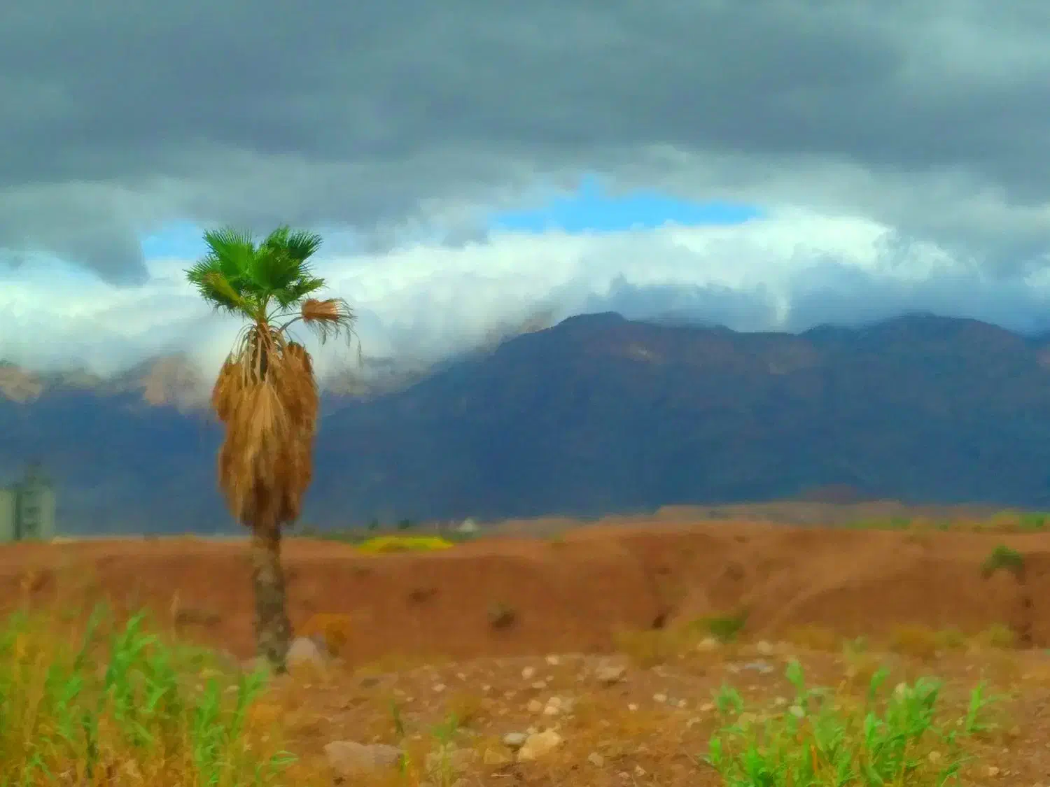 پرستار سالمند پوشکی ، پاره وقت|استخدام درمانی، زیبایی، بهداشتی|تهران, عباسآباد|دیوار