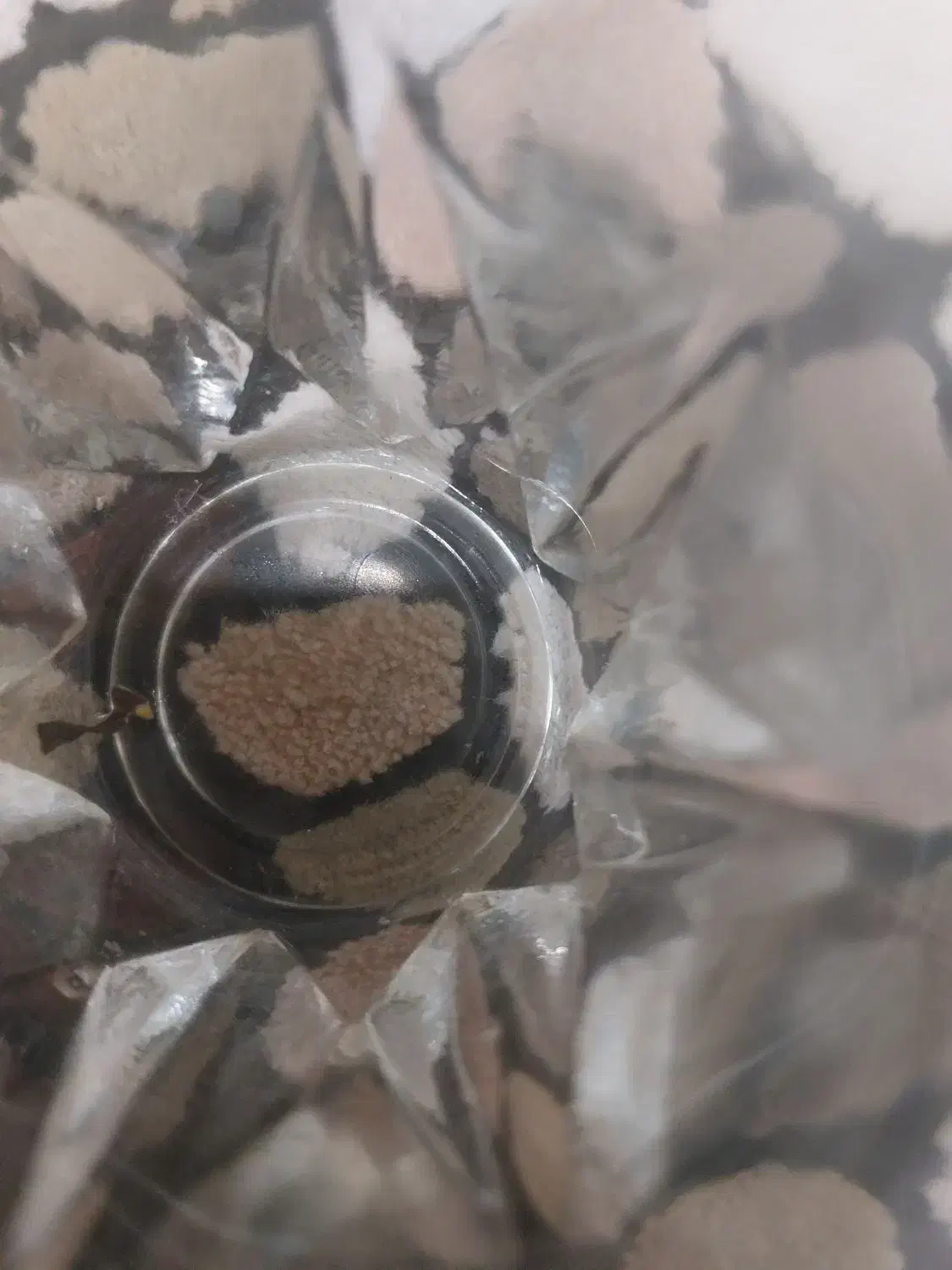 سرمایه گذاری در شغل پردرامد|خدمات مالی، حسابداری، بیمه|اردبیل, |دیوار