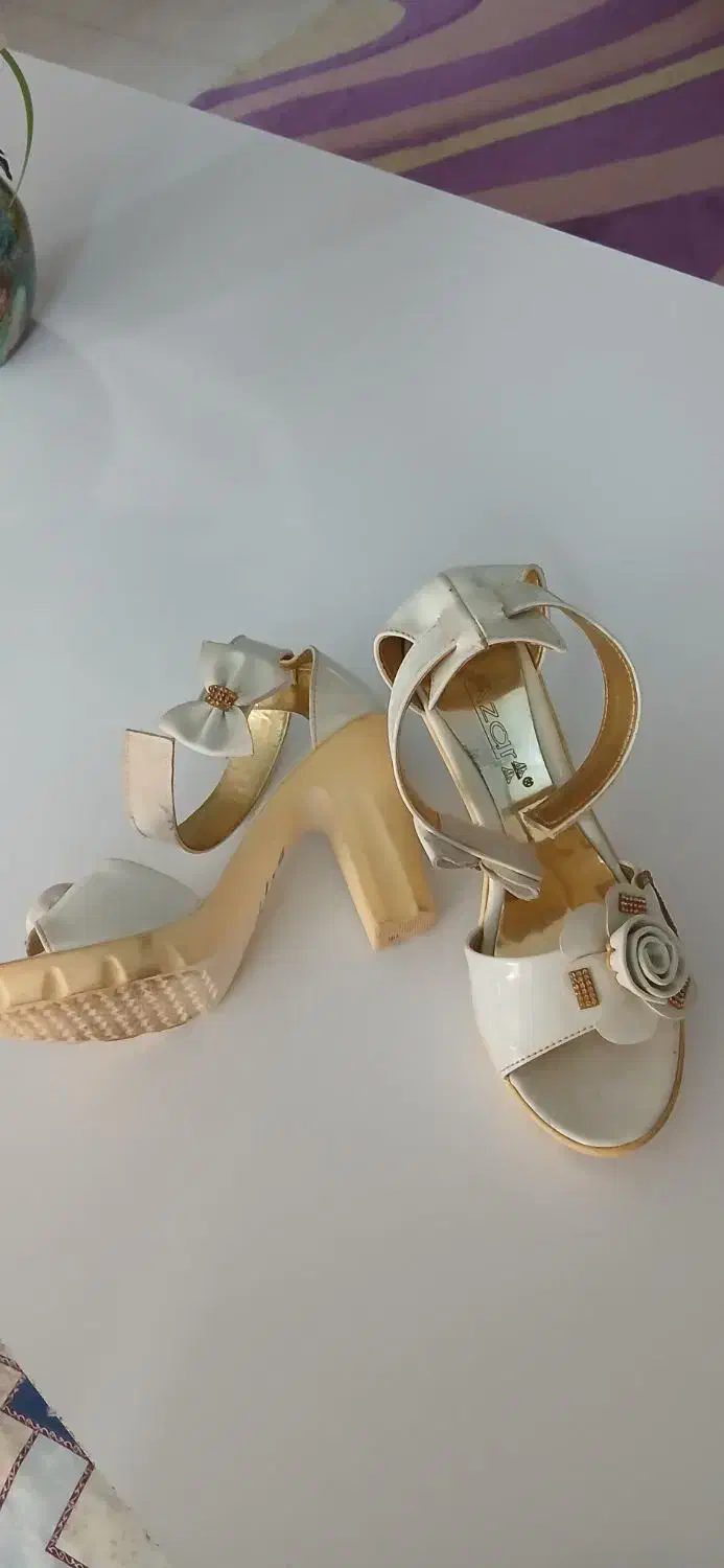 صندل مجلسی سالم|کیف، کفش، کمربند|اصفهان, حصه جنوبی|دیوار