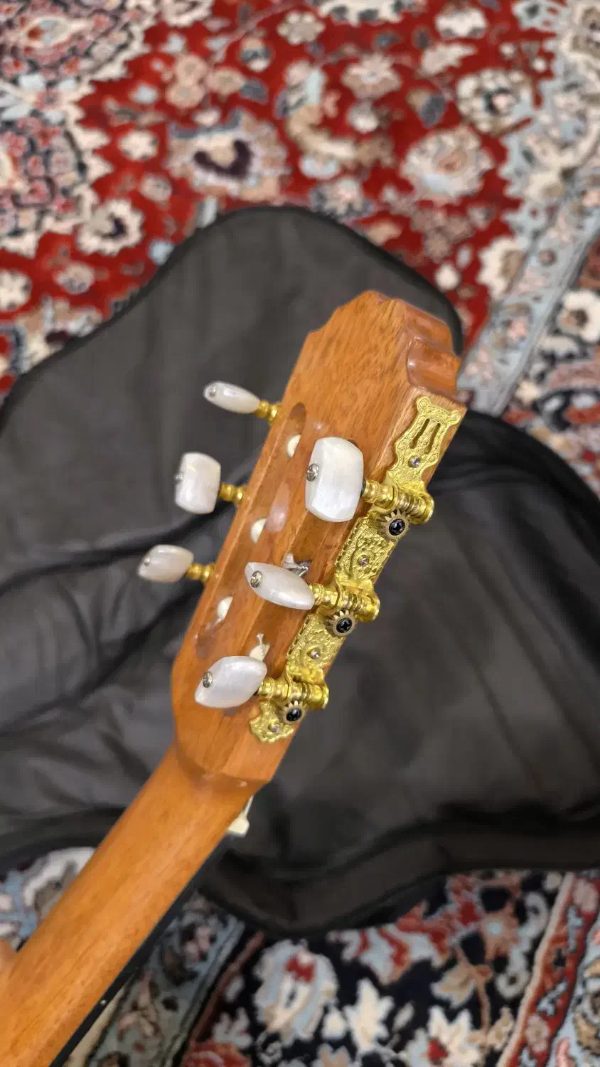 گیتار بست فان E150|گیتار، بیس، امپلیفایر|دزفول, |دیوار