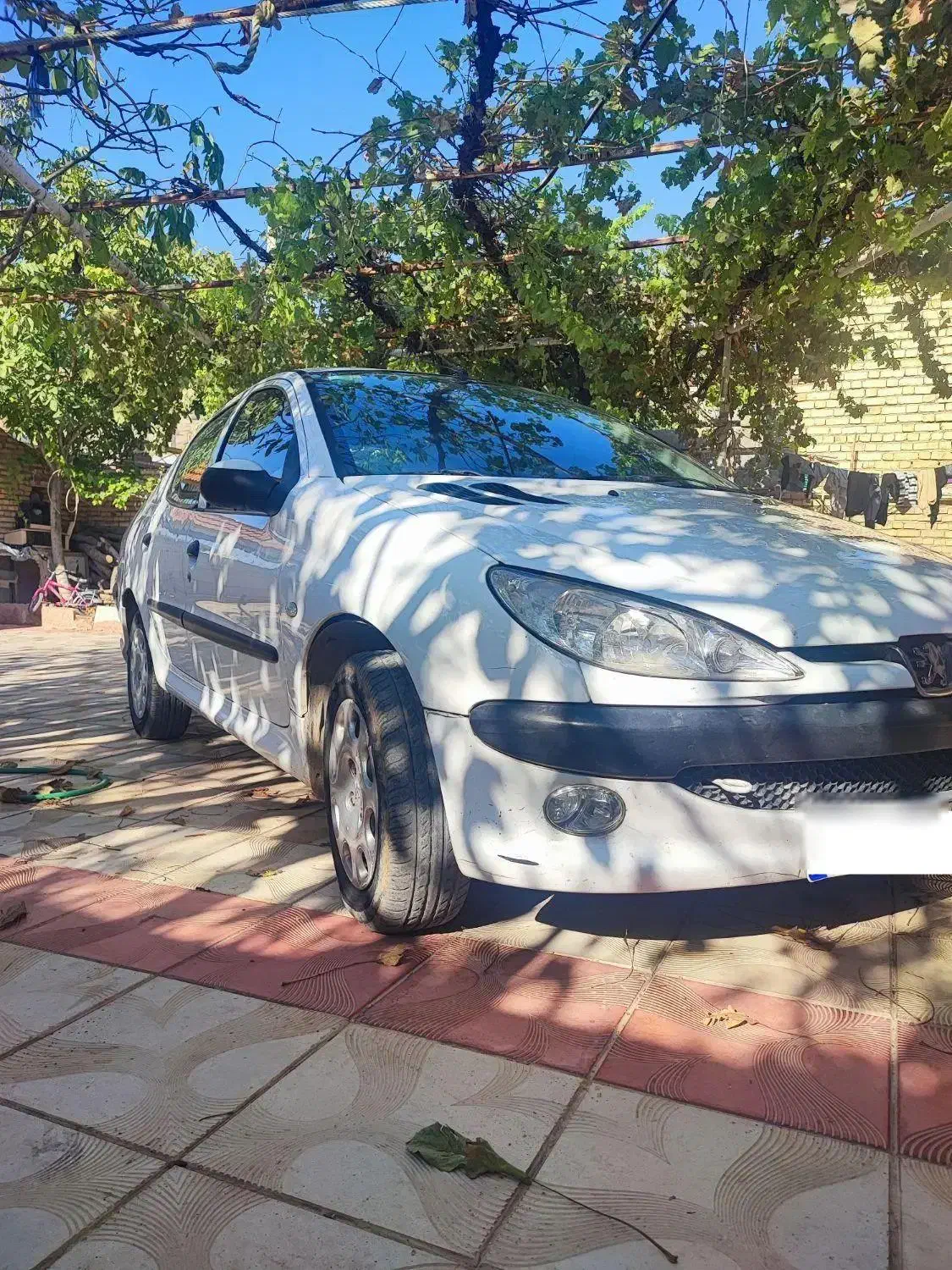 پژو 206 SD V8، مدل ۱۳۹۳|خودرو سواری و وانت|خانمیرزا, |دیوار
