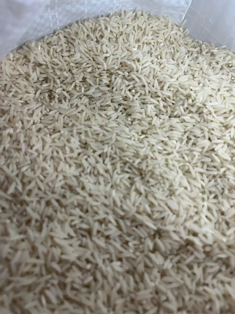برنج هاشمی درجه یک محصول امسال|خوردنی و آشامیدنی|رشت, پیرکلاچای|دیوار