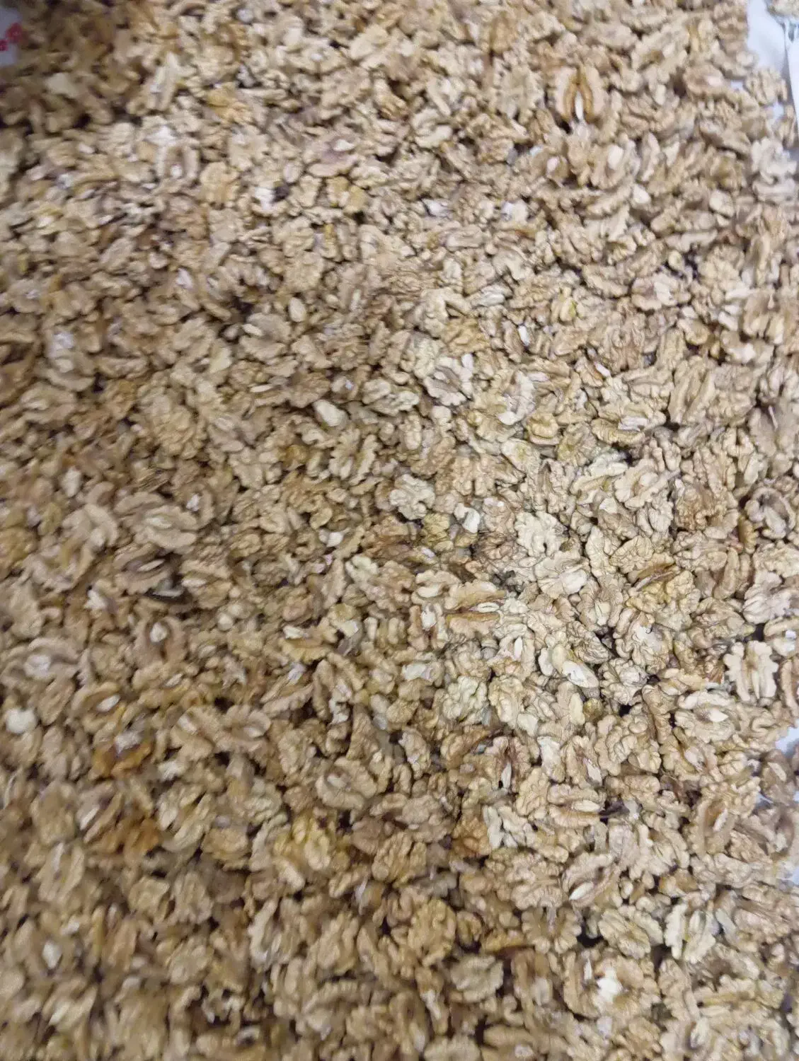 مغز گردو|خوردنی و آشامیدنی|قیدار, |دیوار