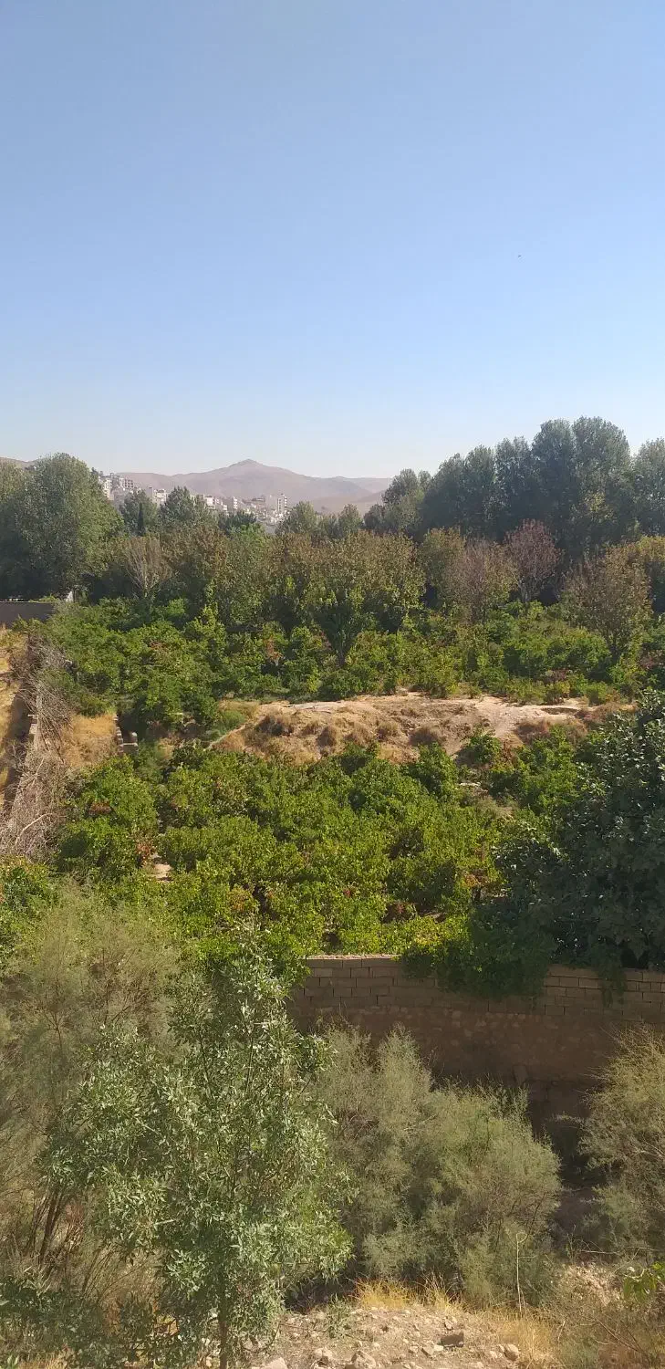 باغشهری پردیس ملوسجان/ ۳۳۳۰متر/ قابل تهاتر|فروش زمین و ملک کلنگی|شیراز, قصرالدشت|دیوار