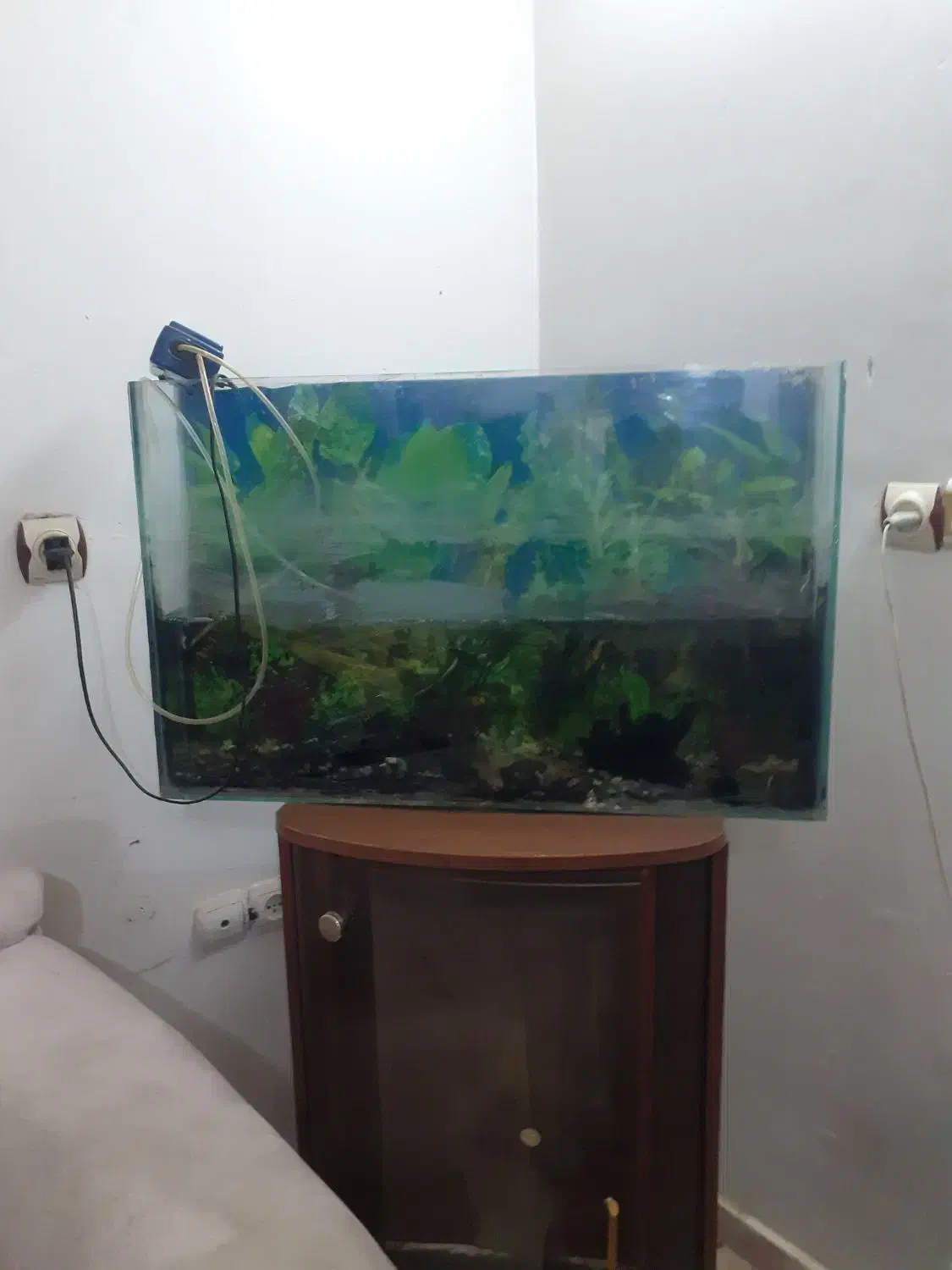 آکواریوم|لوازم جانبی حیوانات|کرج, شهرک البرز ۳|دیوار