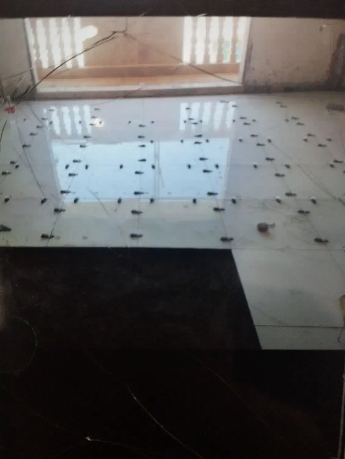 اجرای کاشی سرامیک سنگ|خدمات پیشه و مهارت|گنبد کاووس, |دیوار