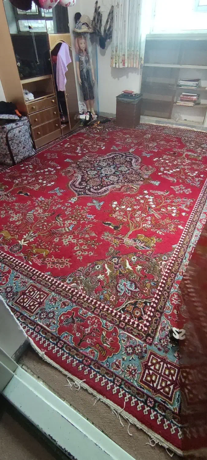 فرش|فرش|دامغان, |دیوار