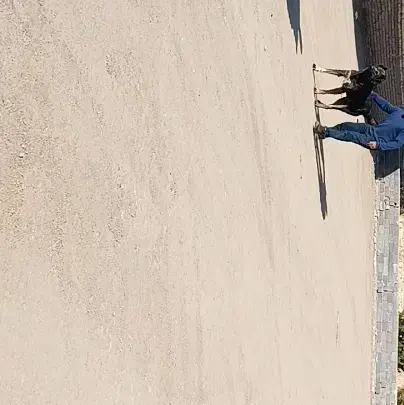 سگ سراب ذات قدیم|سگ|خمین, |دیوار