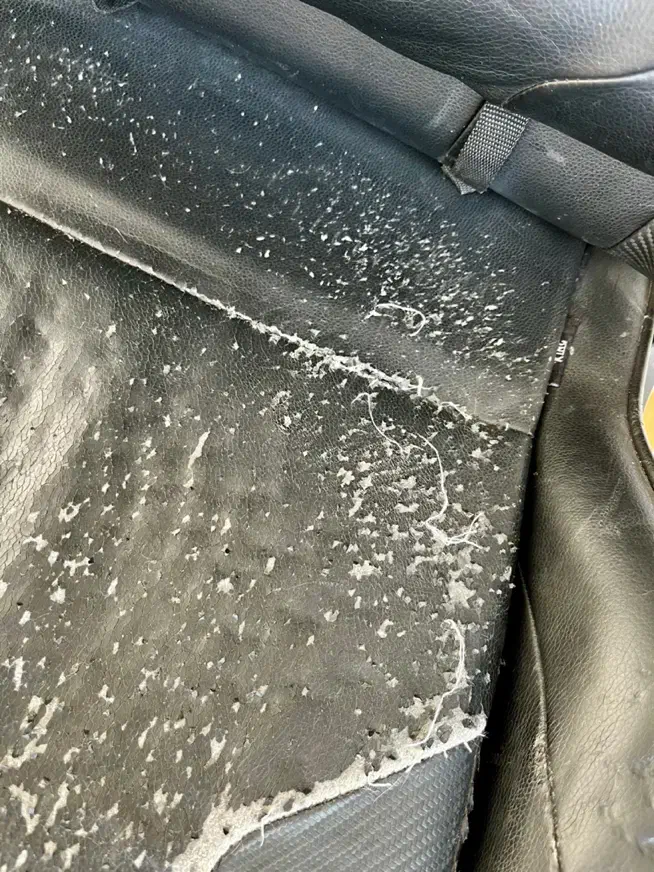 صندلی گیمر دیاکسریسر اصل|مبلمان اداری|تهران, سید خندان (جلفا)|دیوار