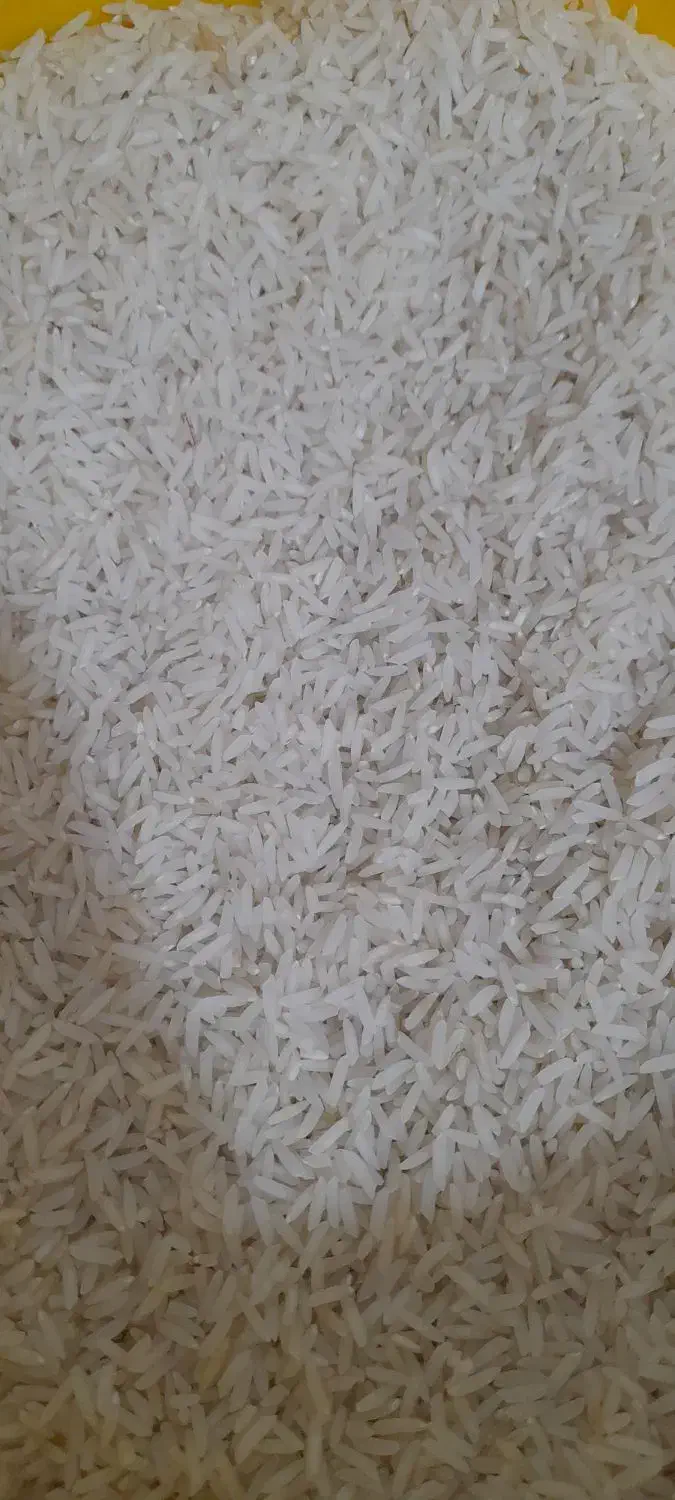 برنج طارم هاشمی|خوردنی و آشامیدنی|ساری, |دیوار