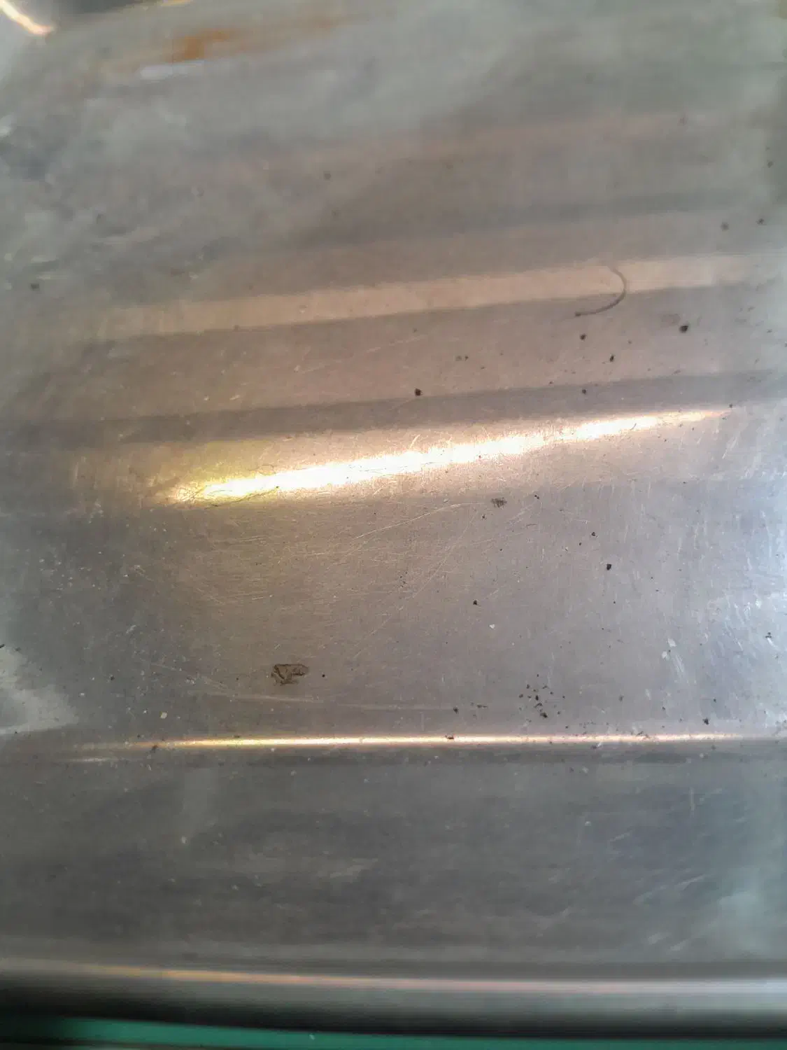 فر ساندویچی|کافیشاپ و رستوران|سنندج, |دیوار