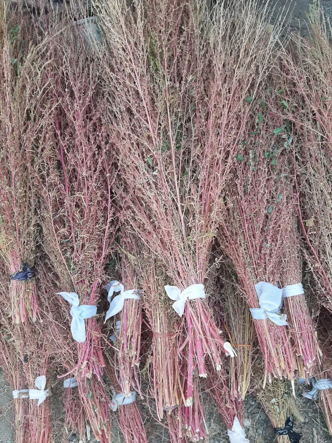 جارو|لوازم نظافت|خرم‌آباد, |دیوار