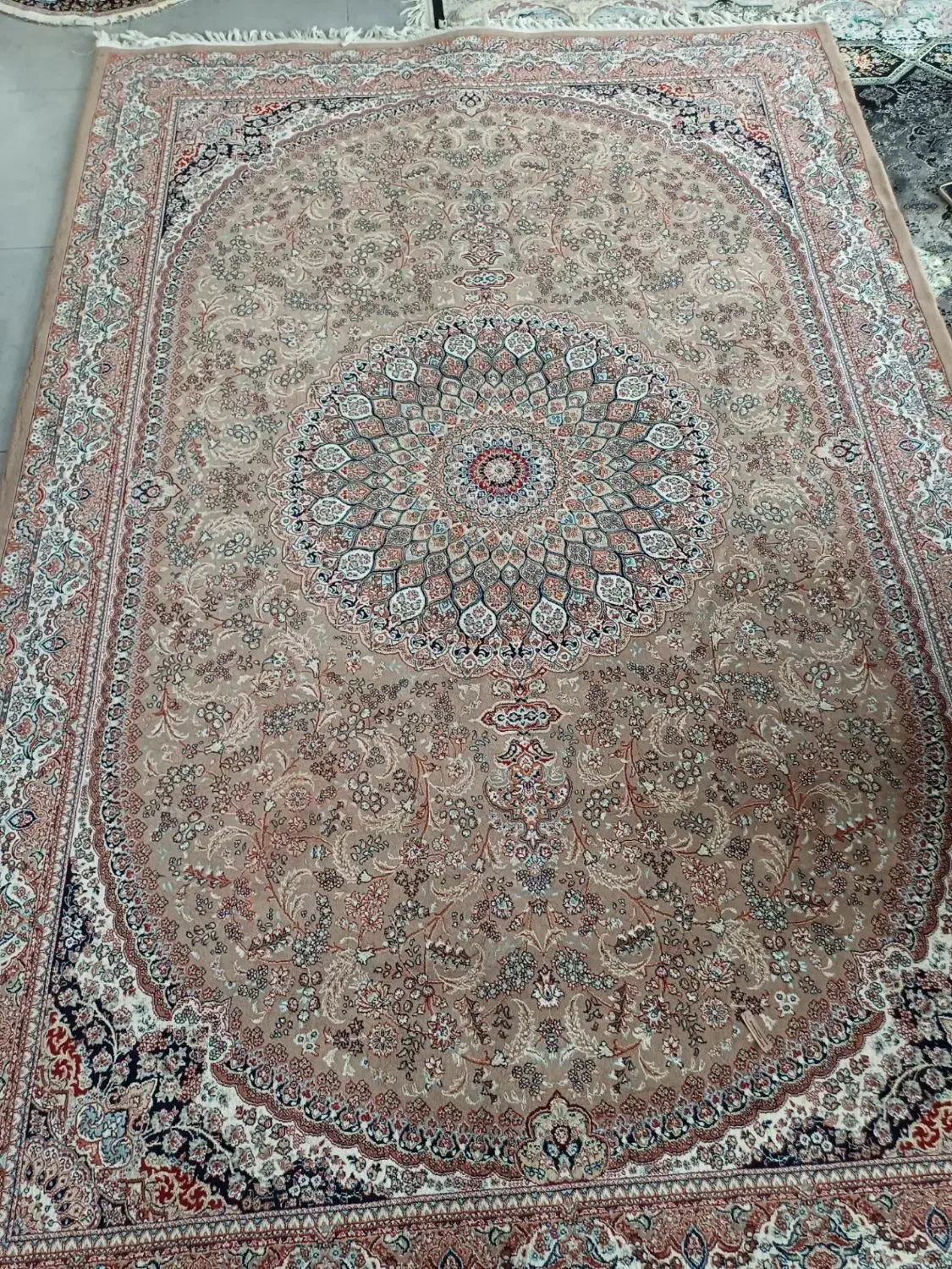 فرش دو درسه هفصد شانه ی اصل نو|فرش|قرچک, میرزائی جنوبی|دیوار