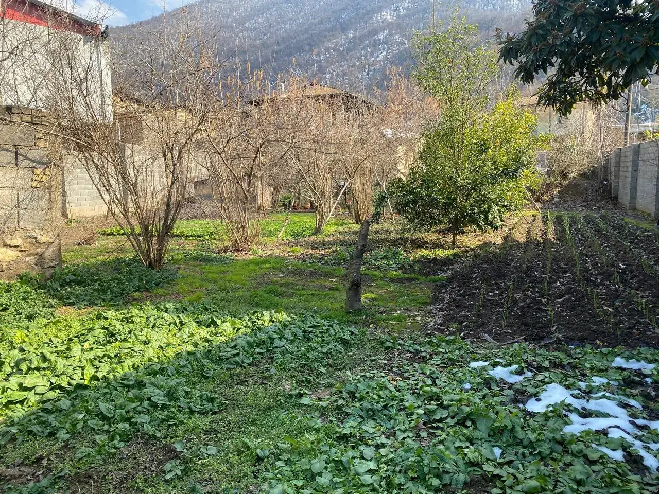 زمین مسکونی 500 متر|فروش زمین و ملک کلنگی|علیآباد کتول, |دیوار