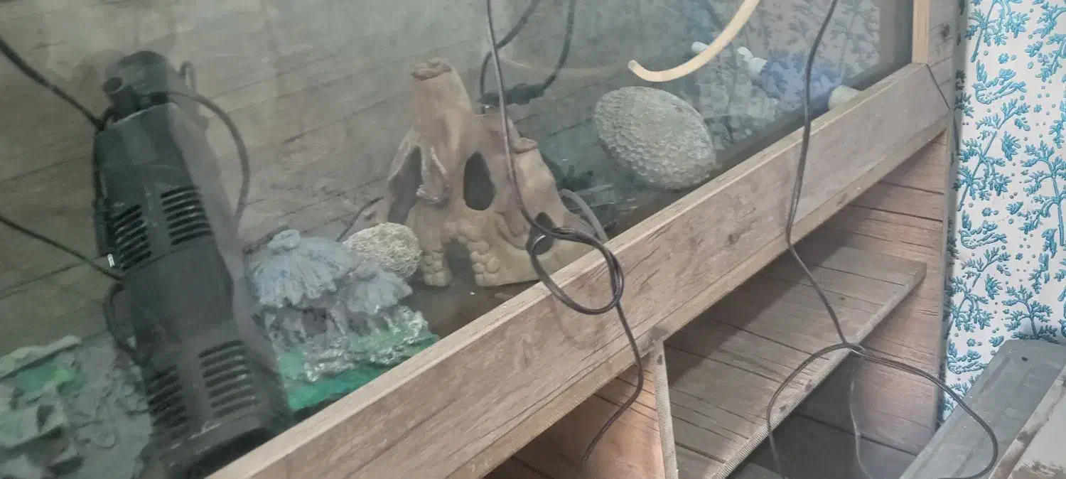 آکواریوم بزرگ باتمام. سایل|ماهی|باوی, |دیوار