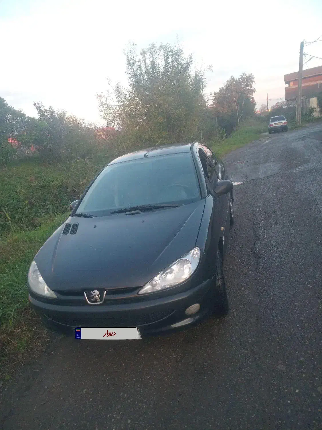 206sd|خودرو سواری و وانت|رشت, هلال احمر|دیوار