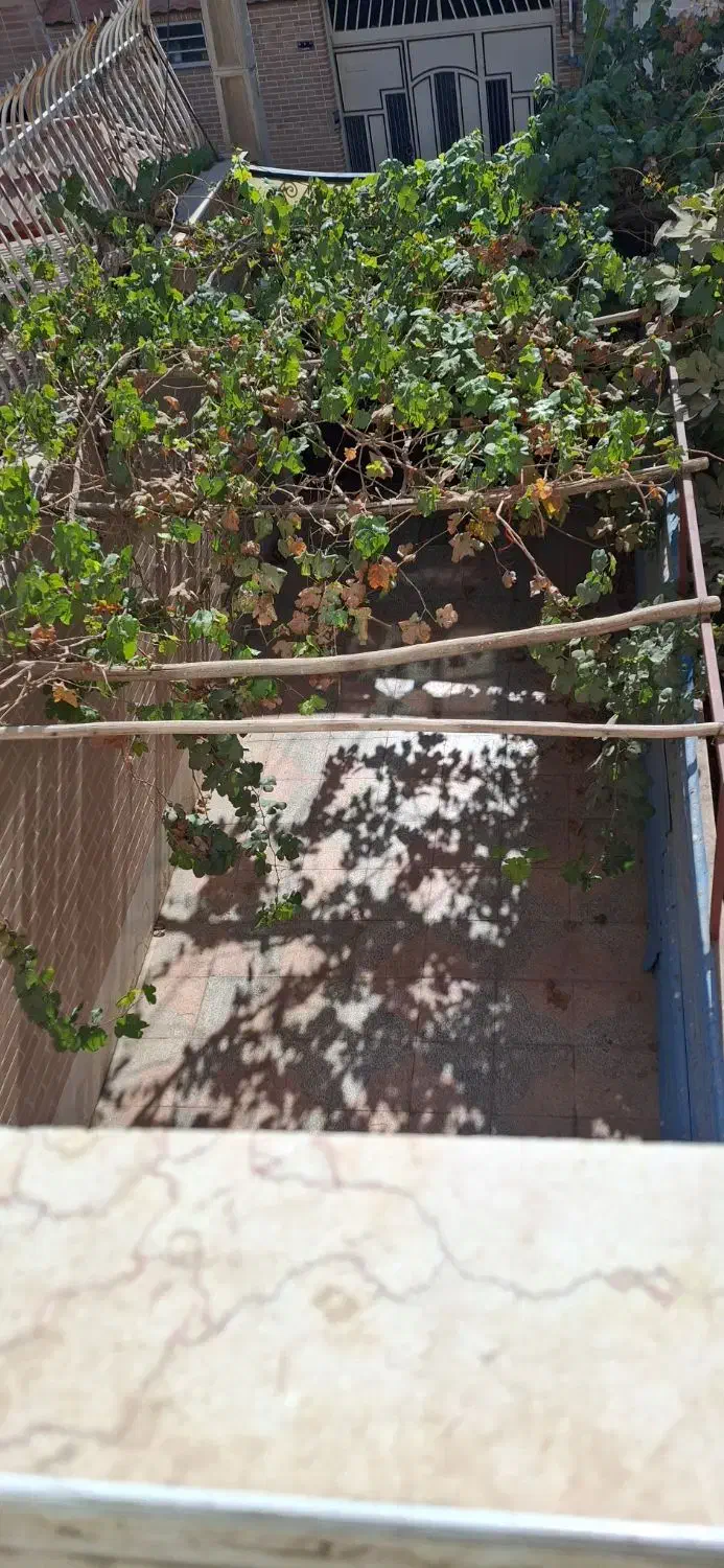 اجاره خانه|اجارهٔ خانه و ویلا|خمینیشهر, |دیوار