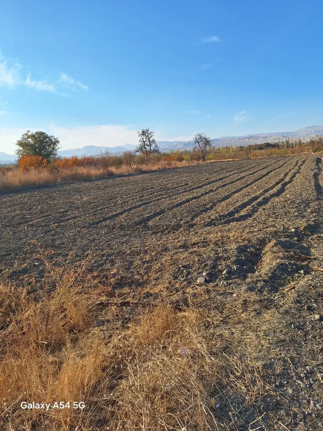 زمین کشاورزی جاده چناقلو|فروش زمین و ملک کلنگی|نوشین شهر, |دیوار