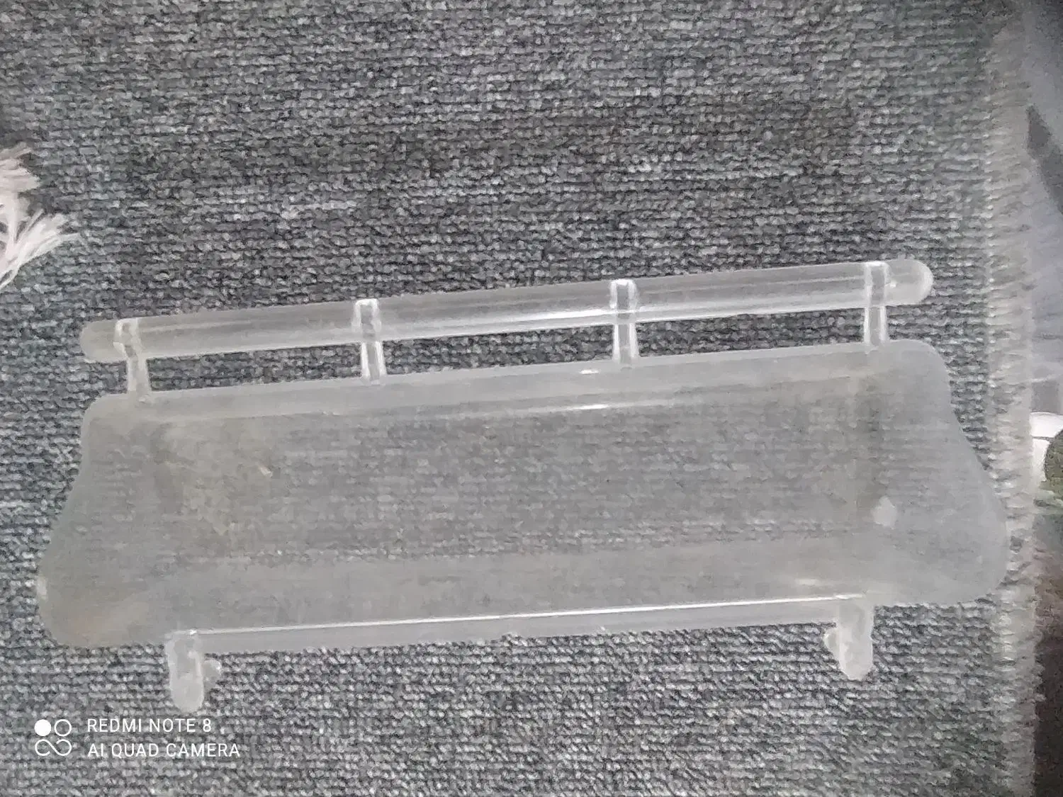 وسایل پرنده|لوازم جانبی حیوانات|مریوان, |دیوار