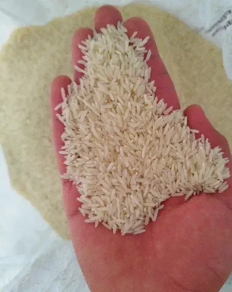 برنج طارم هاشمی دوباره کشت|خوردنی و آشامیدنی|بابل, |دیوار