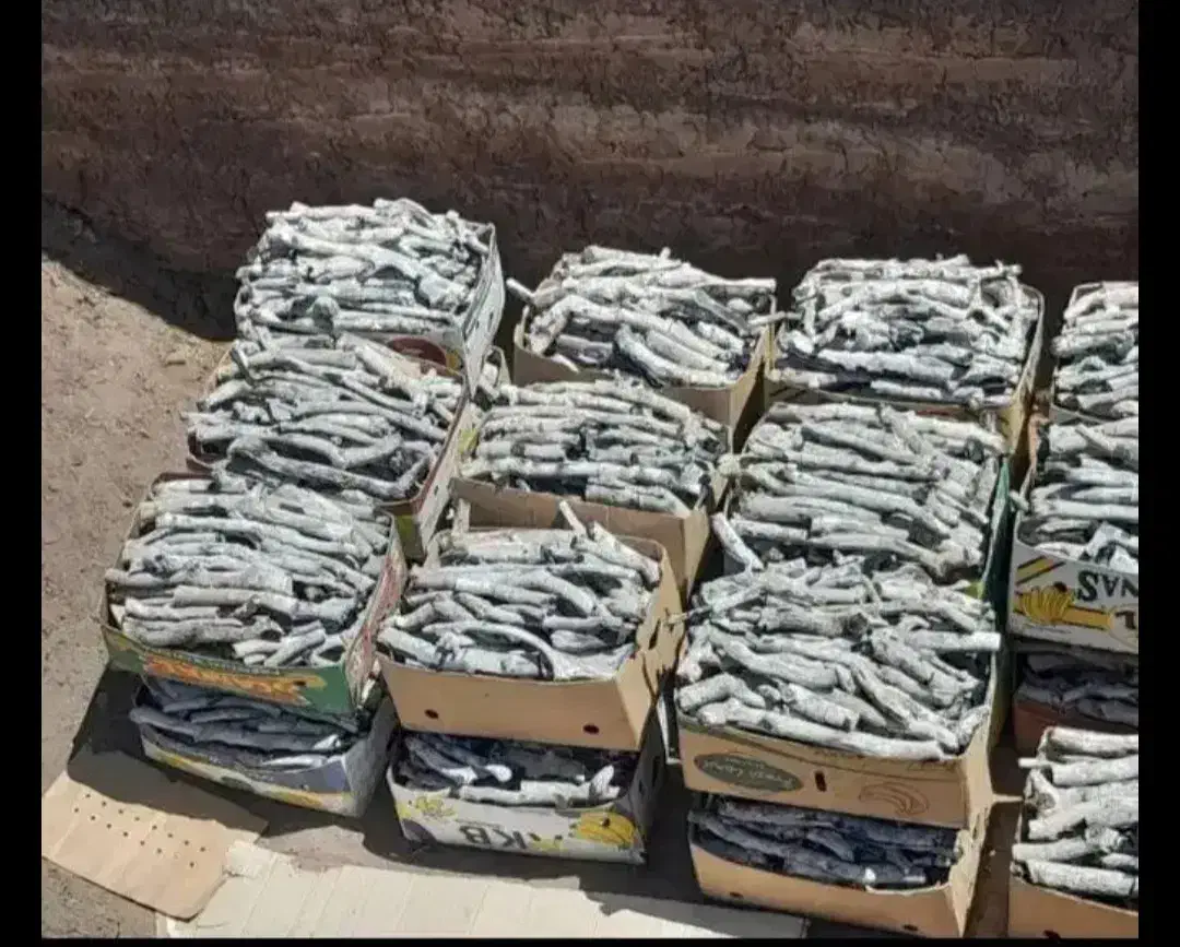 ذغال قلیان|کلکسیون و سرگرمی|مشهد, عامل|دیوار