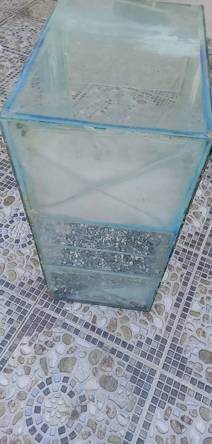 آکواریوم بزرگ|ماهی|شبانکاره, |دیوار