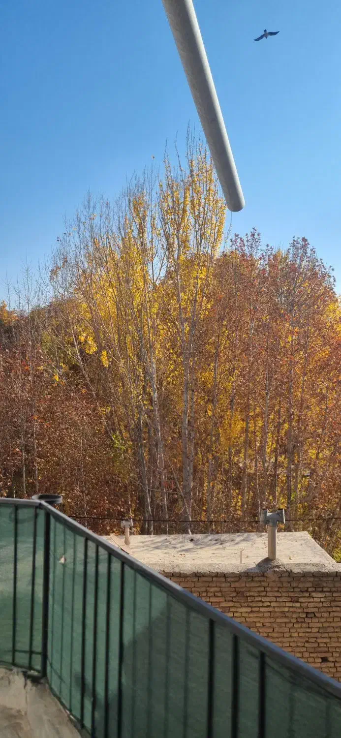 بومگردی باغبهادران(روستای برنجگان)|اجارهٔ کوتاهمدت آپارتمان و سوئیت|باغ بهادران, |دیوار