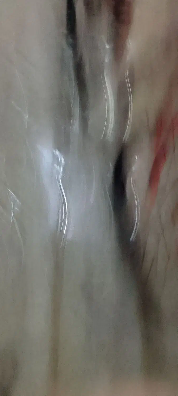 دوچرخه ۲۶ و۲۴|دوچرخه، اسکیت، اسکوتر|تربت‌حیدریه, پائین ولایت|دیوار