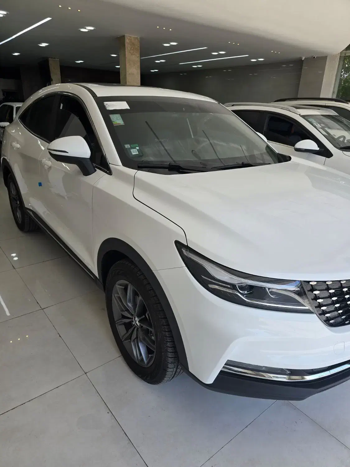 دیگنیتی پرایم ۴۰۳ سفید در حد خشک ۵ تا کار|خودرو سواری و وانت|بوشهر, |دیوار