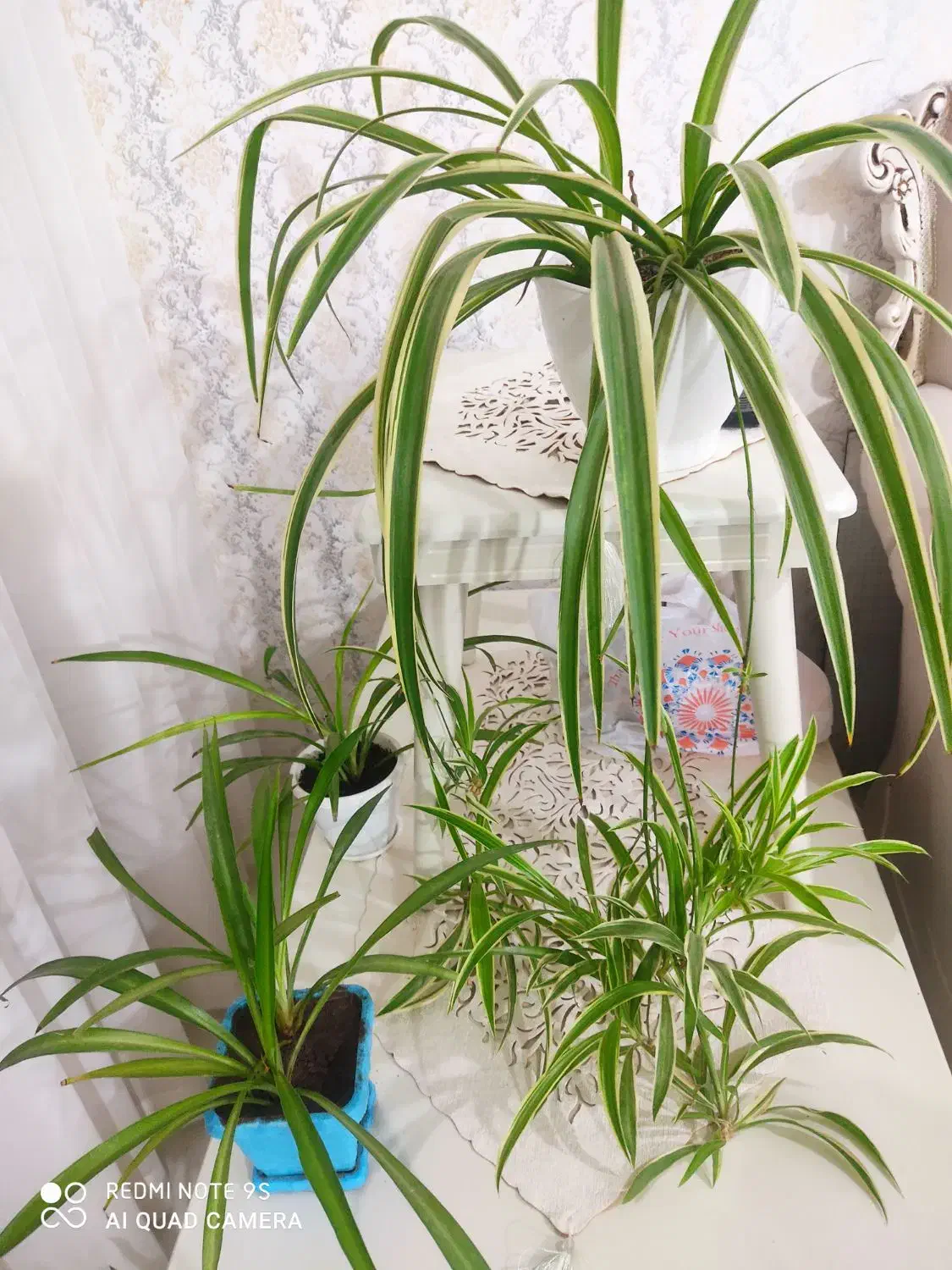 وسایل منزل|حراج|تبریز, |دیوار